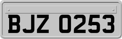 BJZ0253