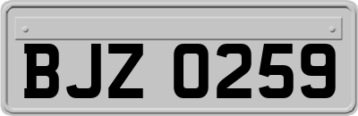 BJZ0259