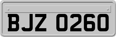 BJZ0260