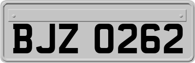 BJZ0262