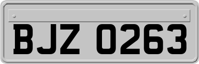 BJZ0263