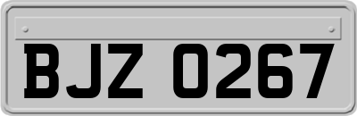 BJZ0267