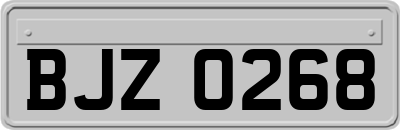 BJZ0268