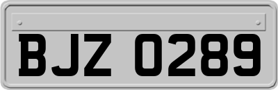 BJZ0289