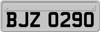 BJZ0290