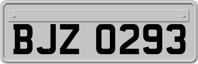 BJZ0293