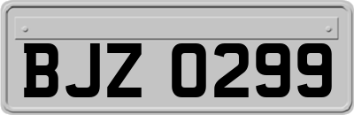 BJZ0299