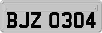 BJZ0304