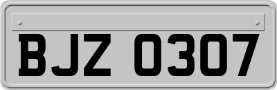 BJZ0307