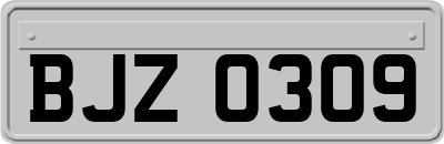 BJZ0309