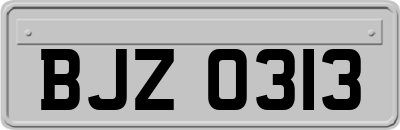 BJZ0313