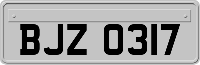 BJZ0317