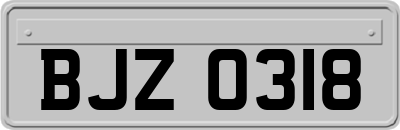 BJZ0318