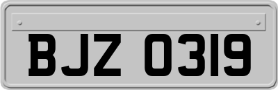 BJZ0319