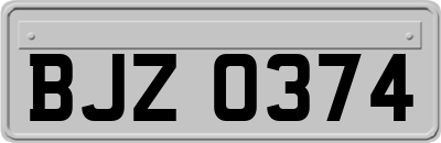 BJZ0374