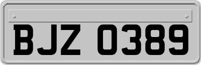 BJZ0389