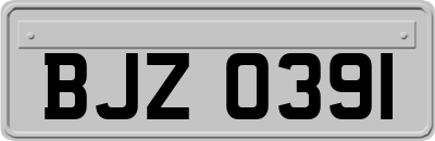 BJZ0391
