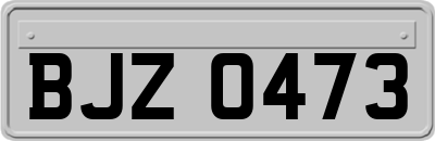 BJZ0473