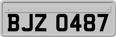 BJZ0487