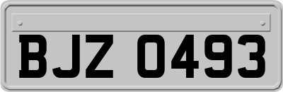 BJZ0493