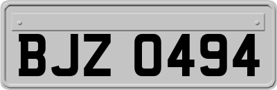 BJZ0494
