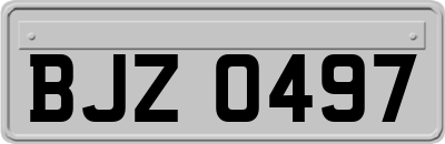BJZ0497