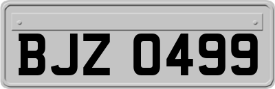 BJZ0499