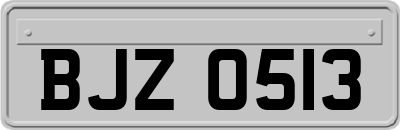 BJZ0513
