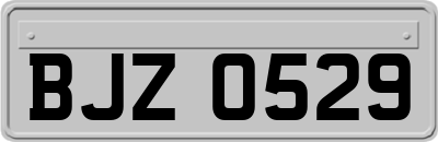 BJZ0529