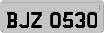 BJZ0530