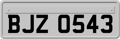 BJZ0543