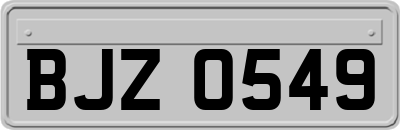 BJZ0549