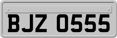 BJZ0555