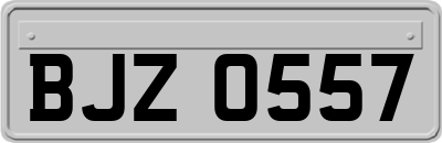 BJZ0557