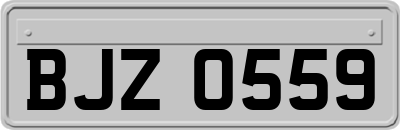 BJZ0559