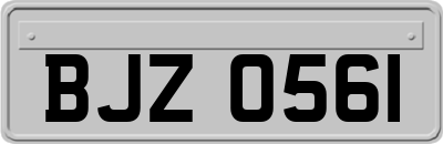 BJZ0561