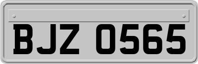 BJZ0565