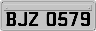 BJZ0579