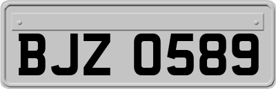 BJZ0589