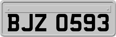BJZ0593