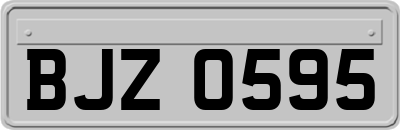 BJZ0595