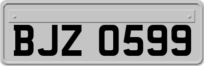 BJZ0599
