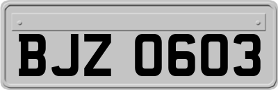 BJZ0603