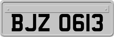 BJZ0613