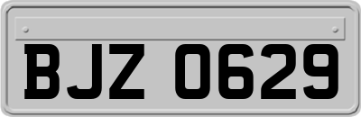 BJZ0629
