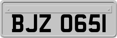 BJZ0651