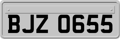 BJZ0655