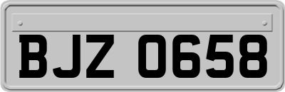 BJZ0658