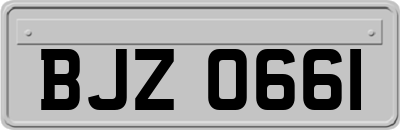BJZ0661