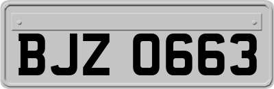 BJZ0663